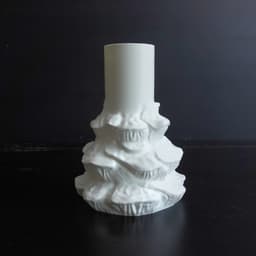 Mushroom vase “Gleophyllum Abietinum” 3d model