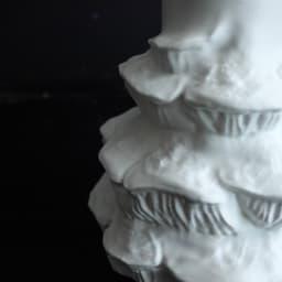 Mushroom vase “Gleophyllum Abietinum” 3d model