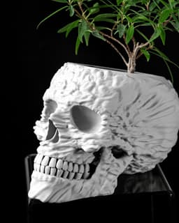 Skull Planter Pot by MODERN MACHINE 3d model