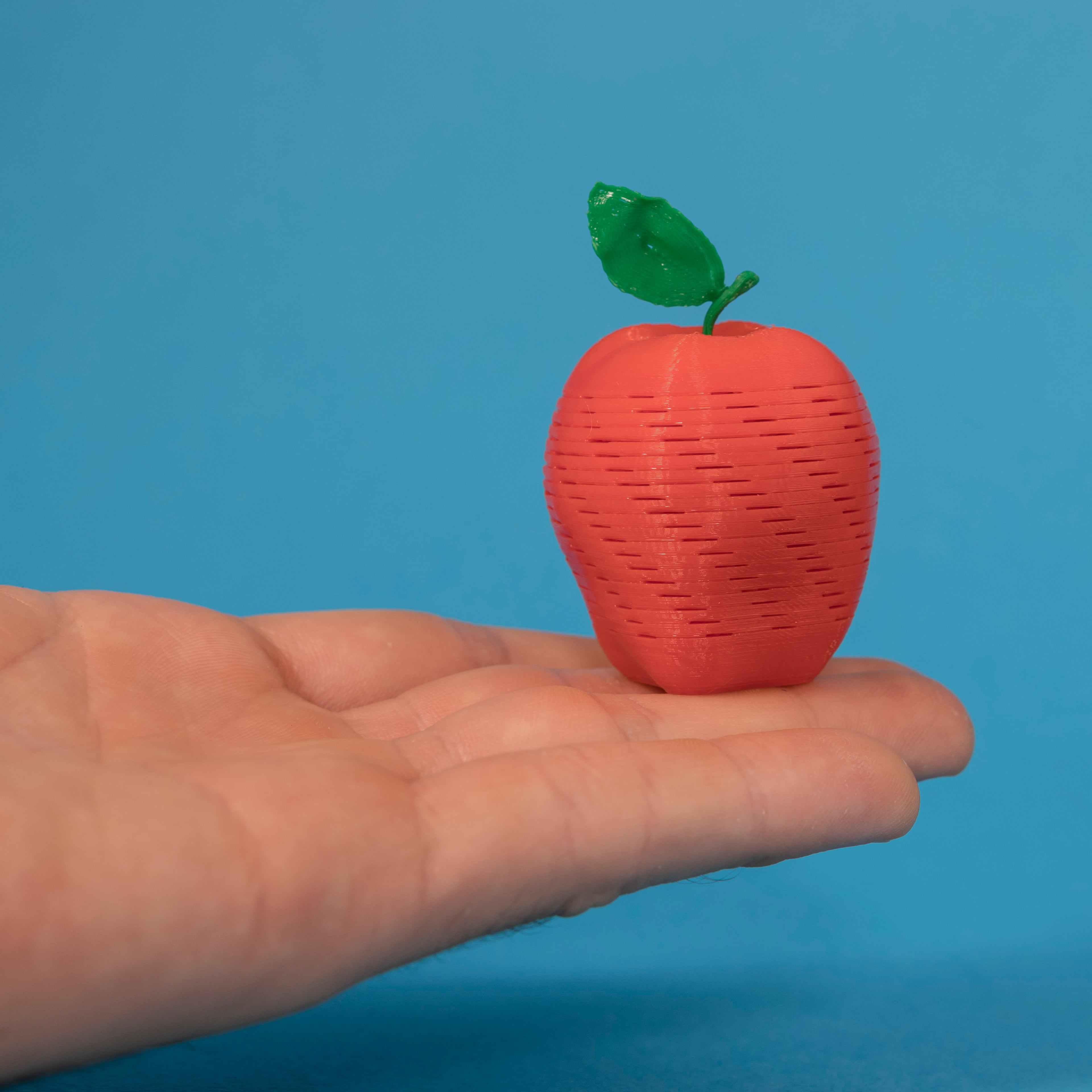 Tasty Springos Pack No.1 3d model