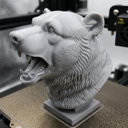 Bear Head 3d model