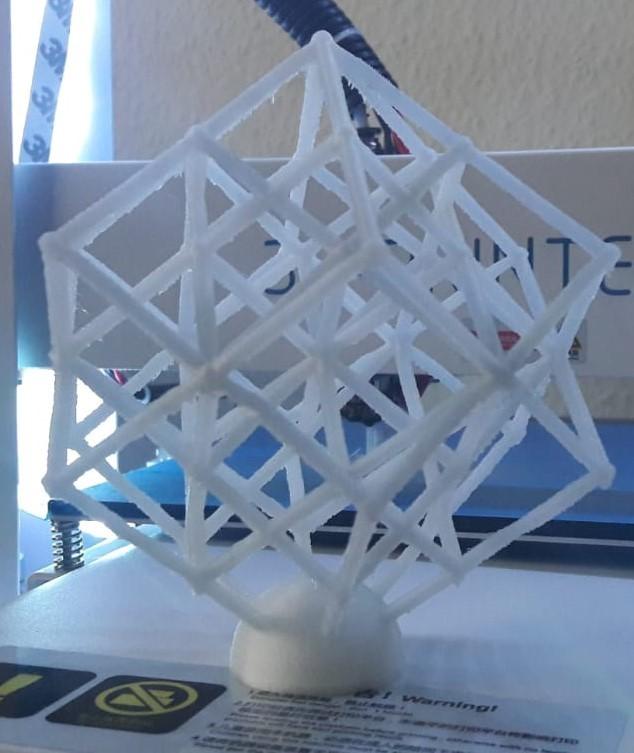Grid Cube (Torture Test) 3d model
