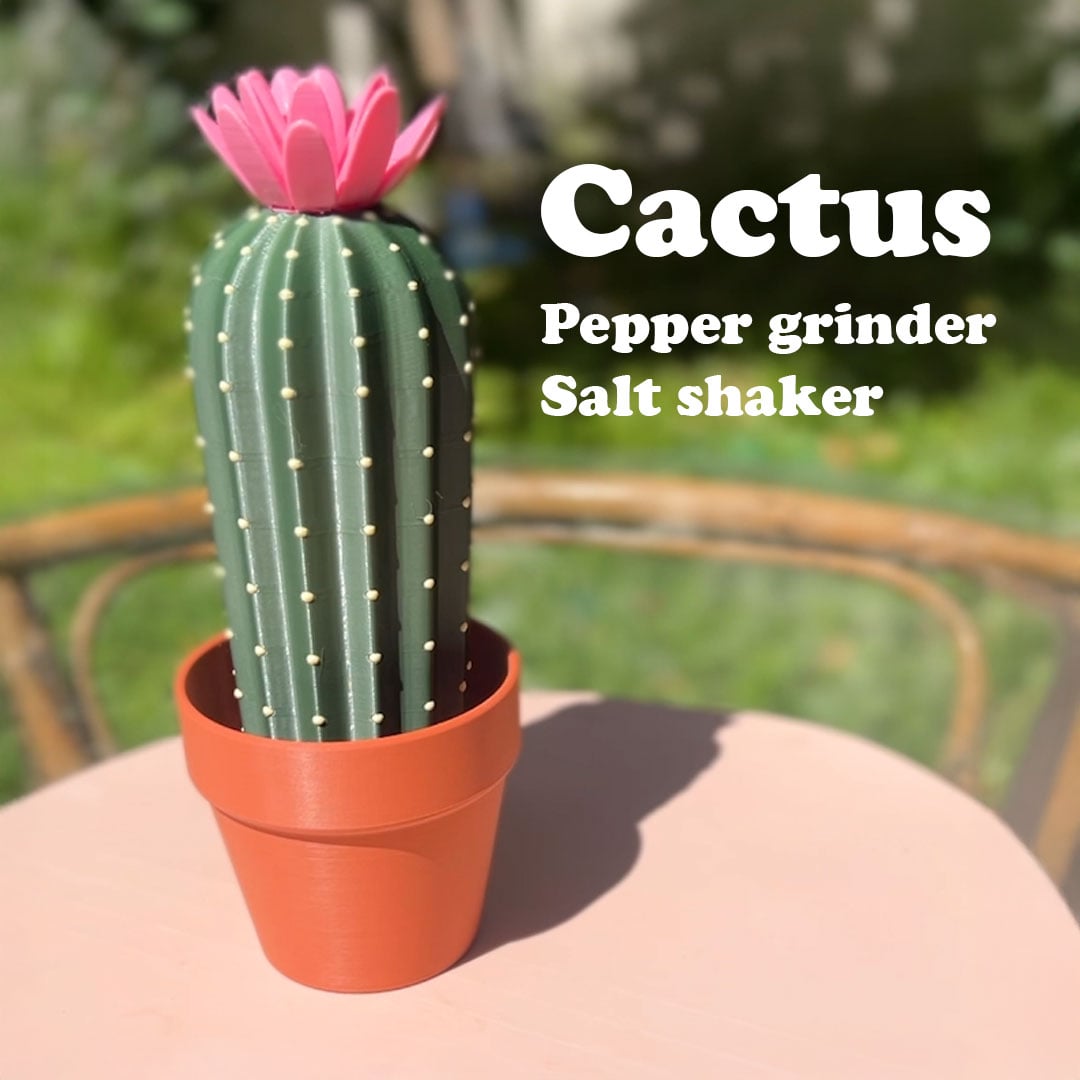 Cactus Salt Shaker & Pepper Grinder 3d model