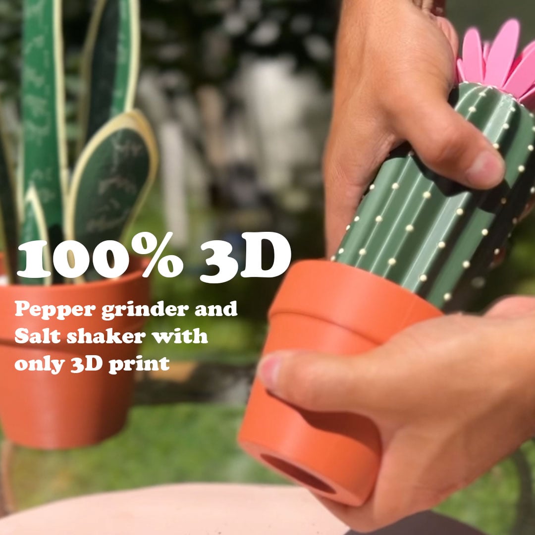 Cactus Salt Shaker & Pepper Grinder 3d model