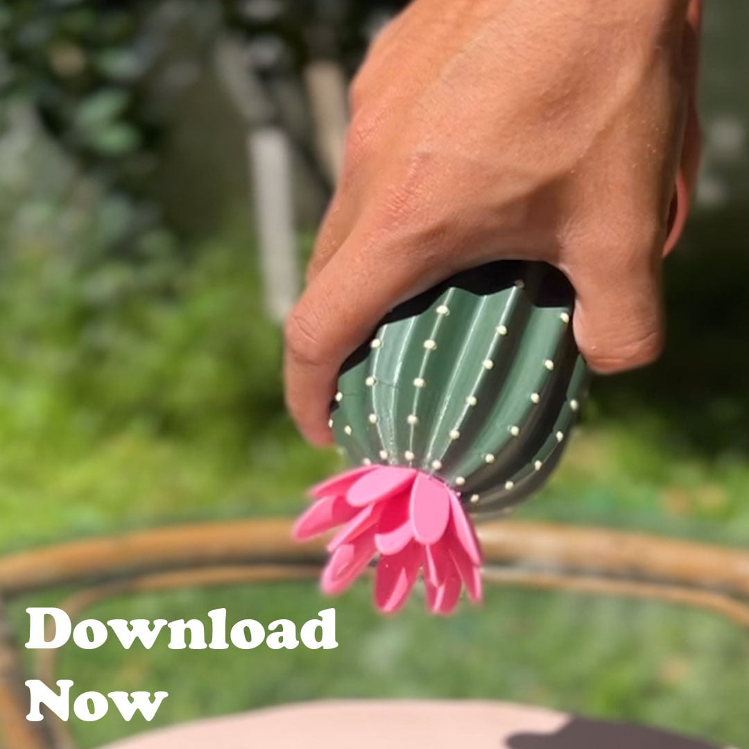 Cactus Salt Shaker & Pepper Grinder 3d model