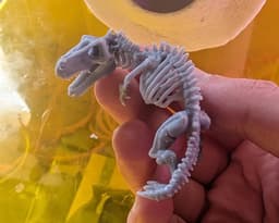 Dinosaur Skeleton (DND / TTRPG) 3d model