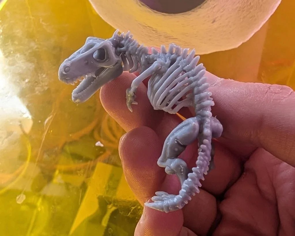 Dinosaur Skeleton (DND / TTRPG) 3d model