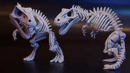 Dinosaur Skeleton (DND / TTRPG) 3d model