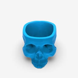 Skull Planter, 3D Human Skull Flower Pot, Spooky Decor Planter, 3D Printed Skull, Face Planter 3d model