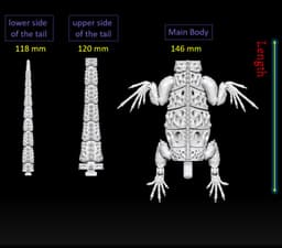 Flexi Martian Iguana!/lizard 3d model