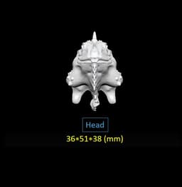 Flexi Martian Iguana!/lizard 3d model