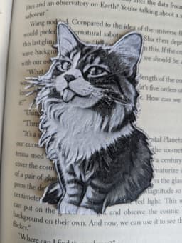 Floofy Cat Bookmark 3d model