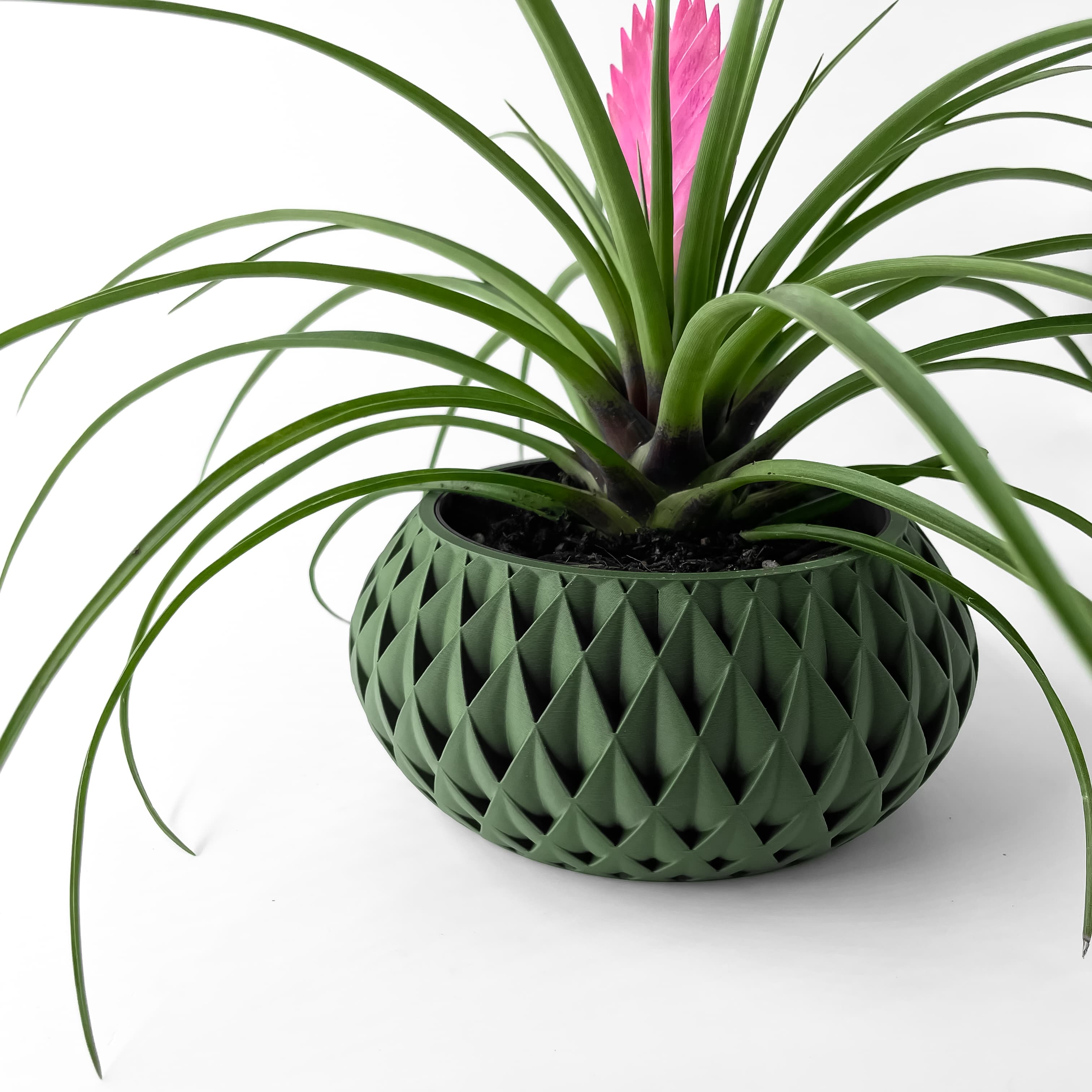 The Cinor Planter Pot with Drainage Tray & Stand Included | Modern and Unique Home Decor 3d model