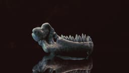 Toothless Skull (Pre Supported) 3d model