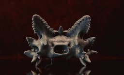 Toothless Skull (Pre Supported) 3d model