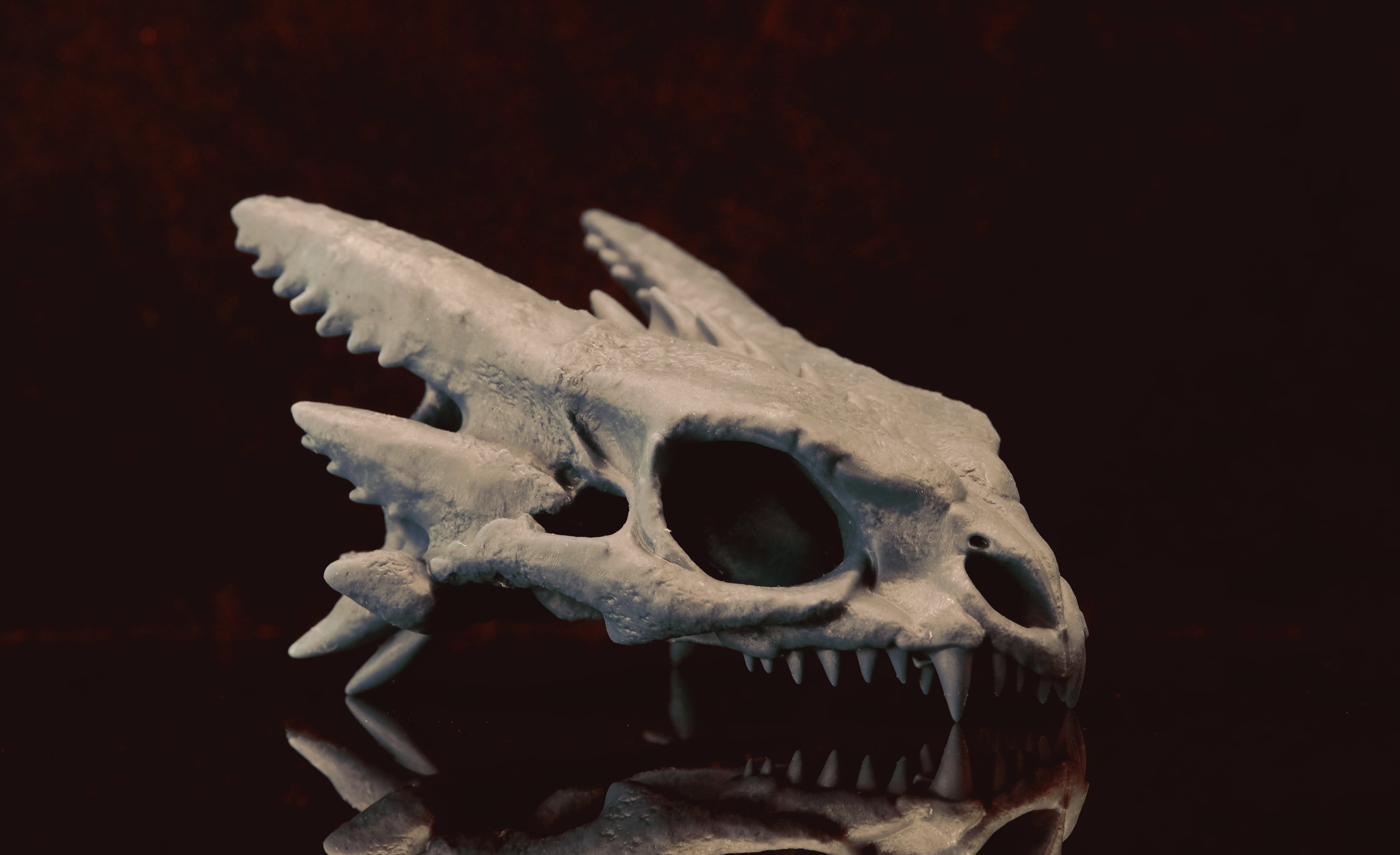 Toothless Skull (Pre Supported) 3d model