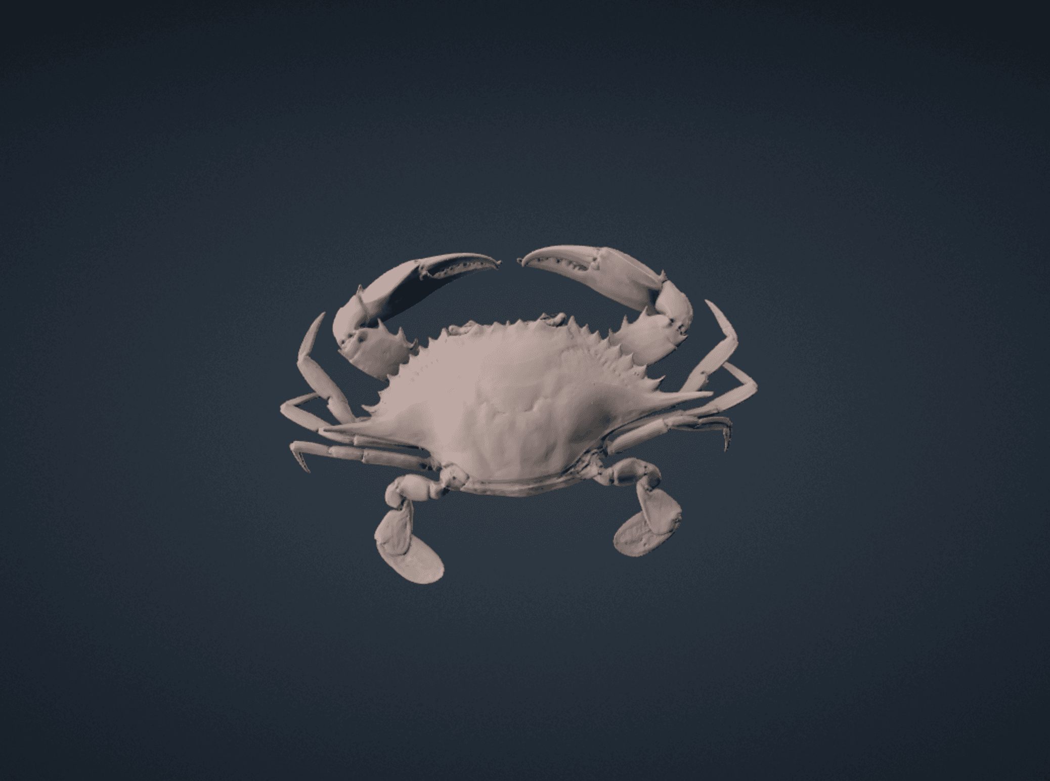 Realistic Blue Crab 3d model