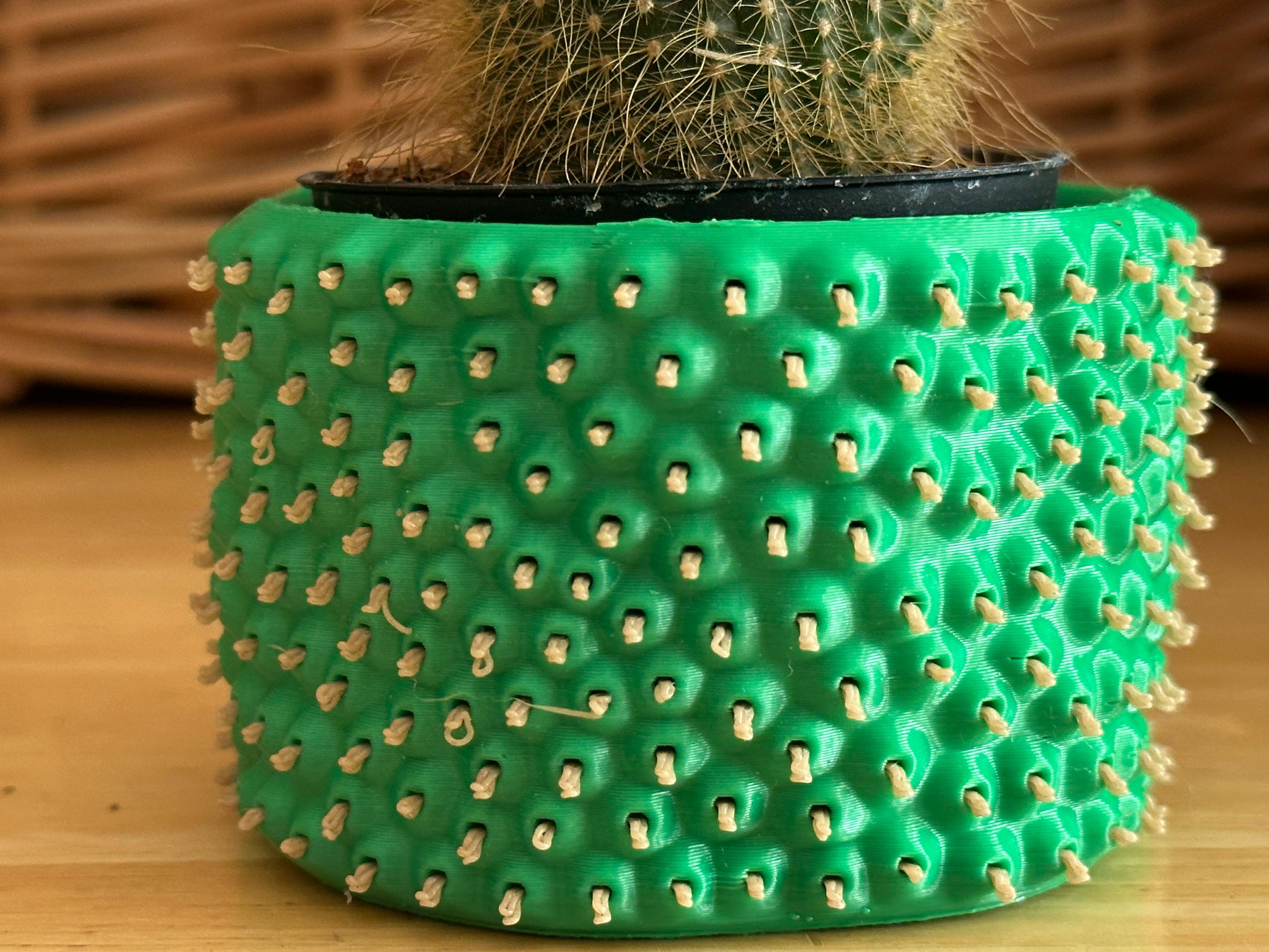 Cactus Container 3d model