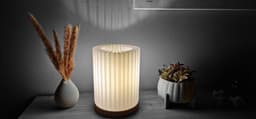 Bring Elegance to Light with the Auristria Lamp 3d model