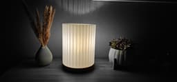 Bring Elegance to Light with the Auristria Lamp 3d model
