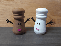 Salt And Pepper Shaker 3d model
