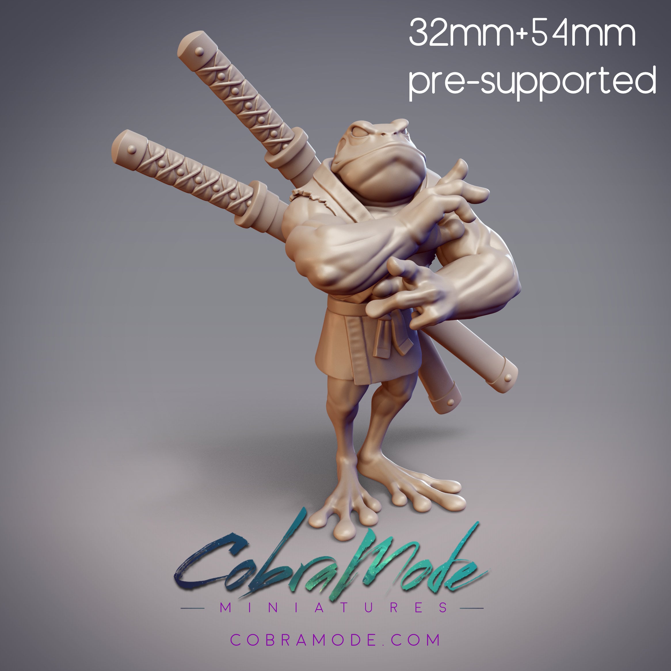 Frog Martial Artist - Isamu, Amagaeru Brawler (Pre-supported) 3d model