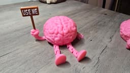 Cute Articulated Brain Box with Interchangeable Signs 3d model
