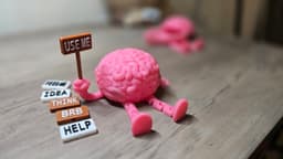 Cute Articulated Brain Box with Interchangeable Signs 3d model