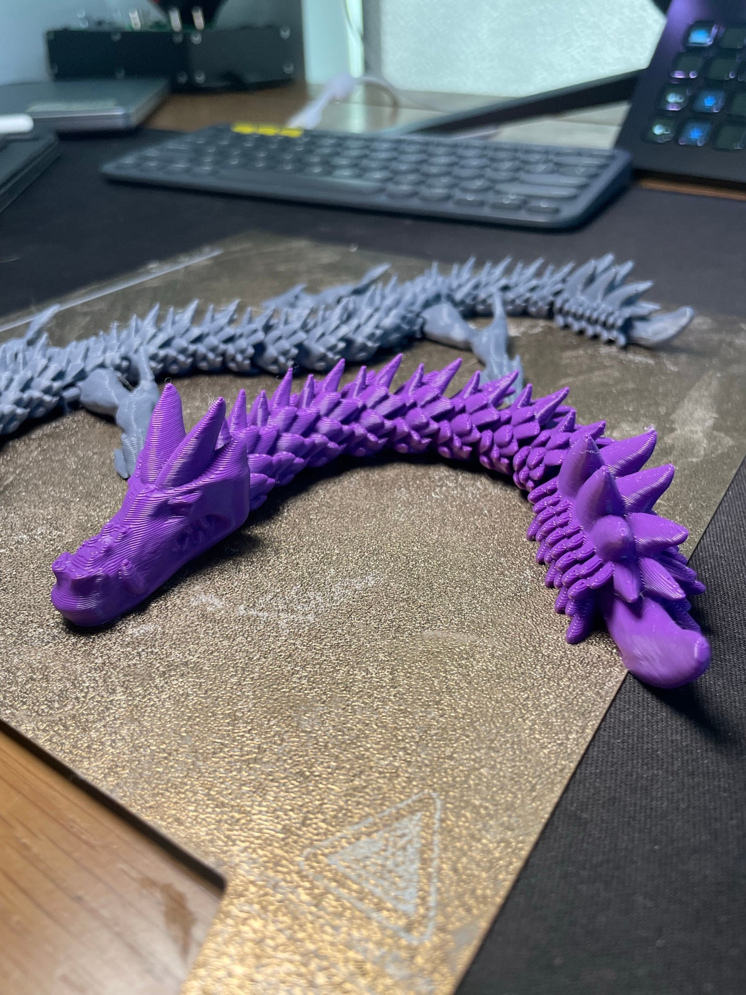 Slinky Fidget Dragon 3d model