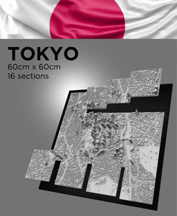 TOKYO, Skyline 3d map 3d model