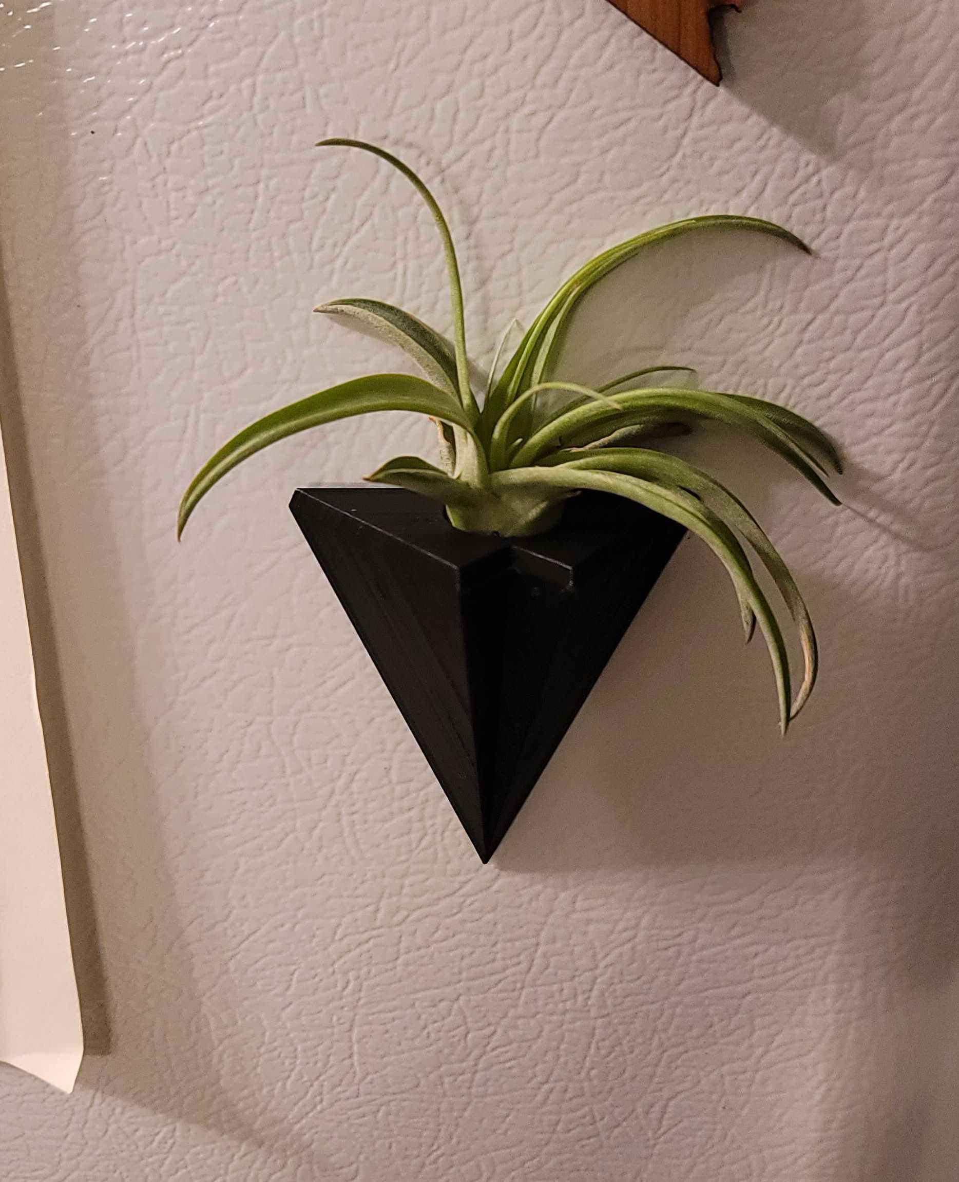 Magnetic Air Plant Holder 3d model