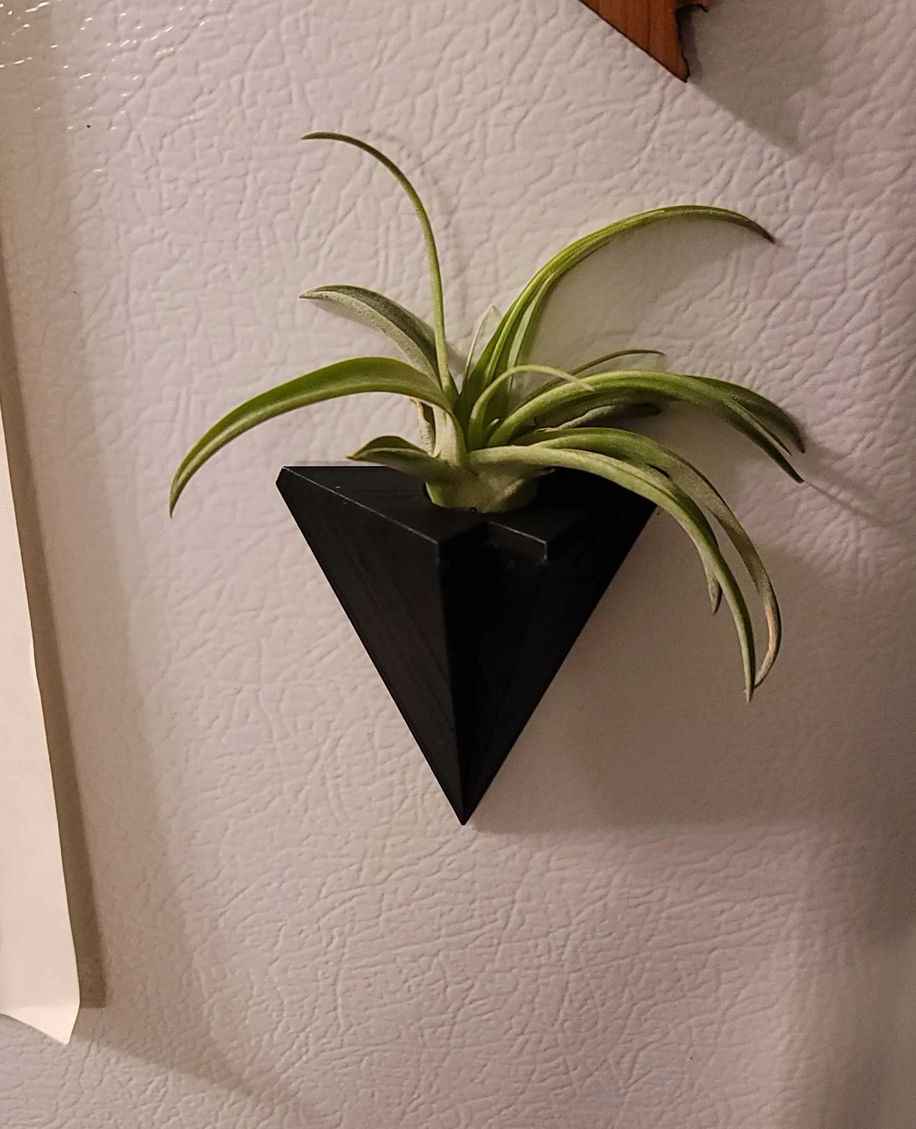 Magnetic Air Plant Holder 3d model