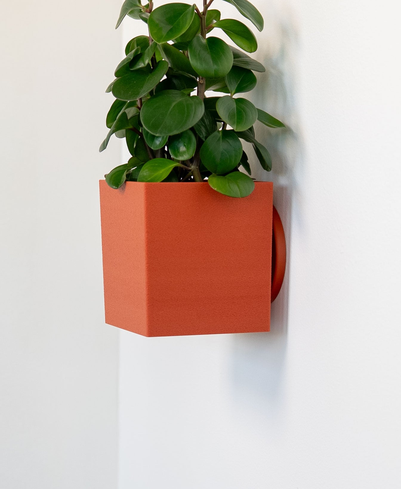 Square Tapered Planter 3d model