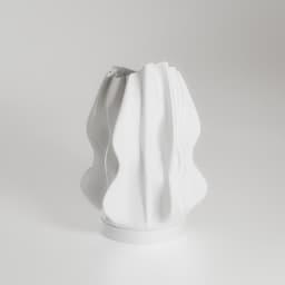 Coral 3d model