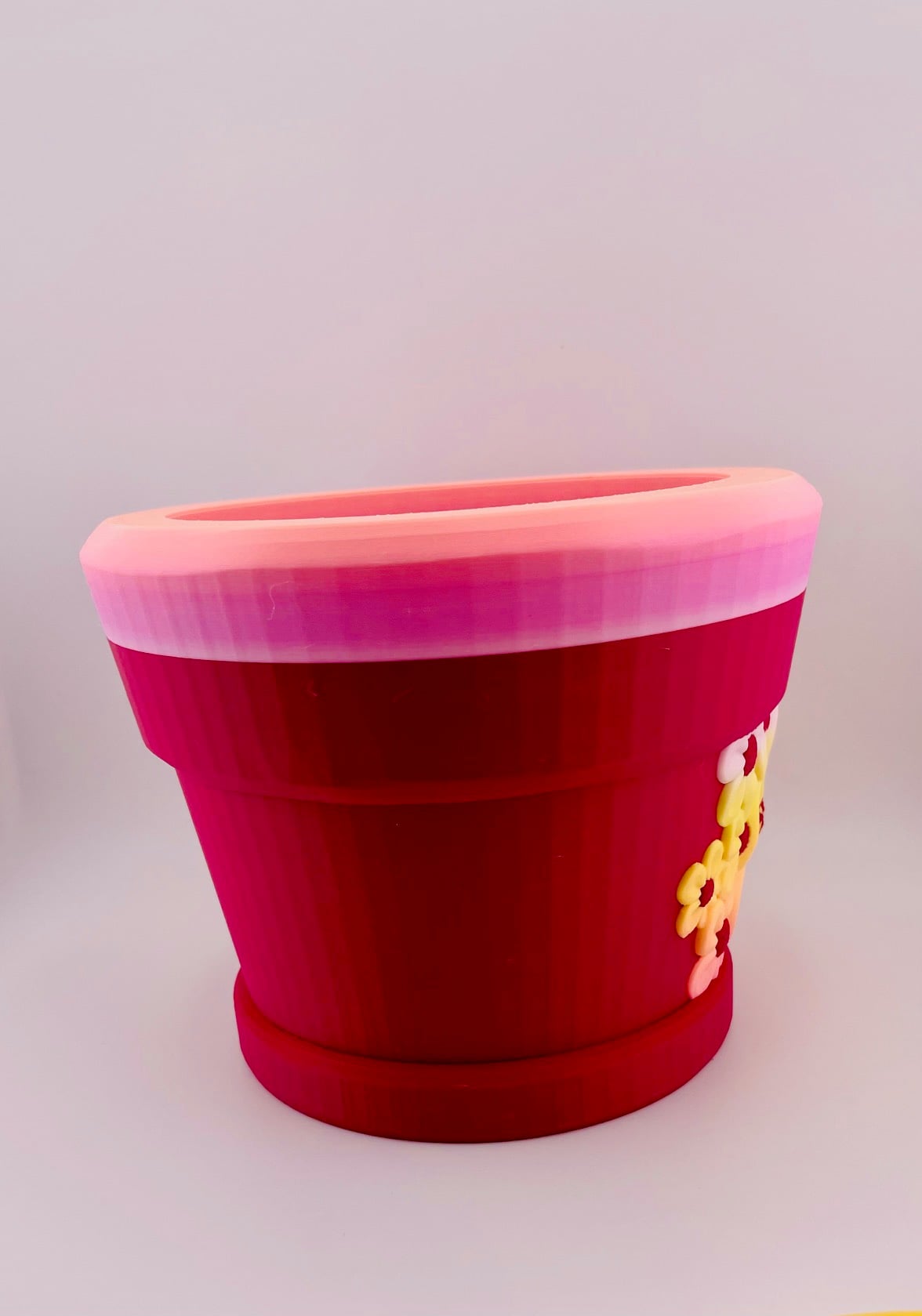5 Petal Flower Pot 3d model