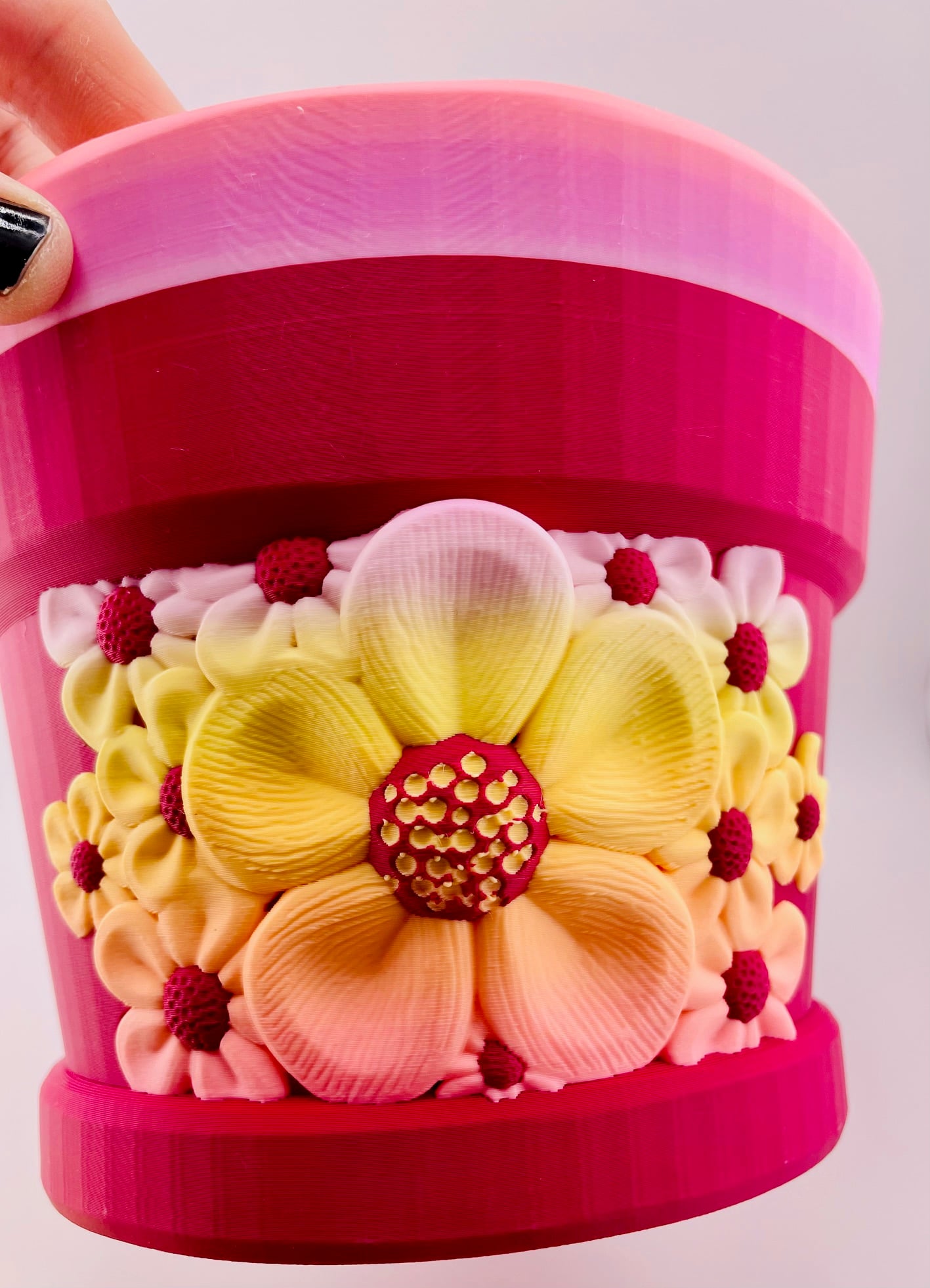 5 Petal Flower Pot 3d model