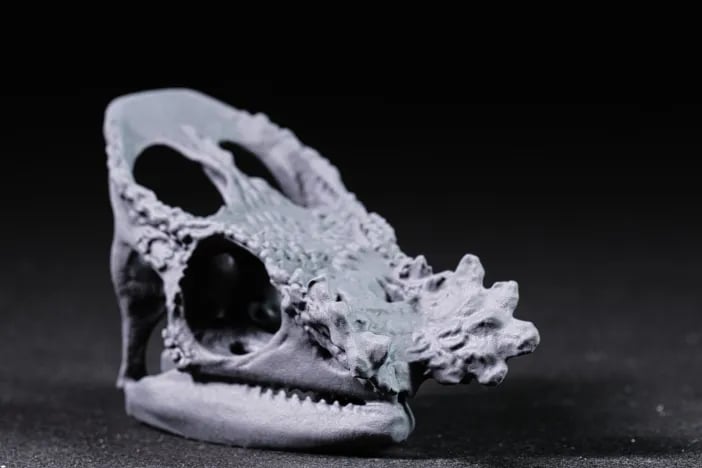 Parsons Chameleon Skull 3d model