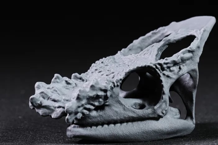 Parsons Chameleon Skull 3d model