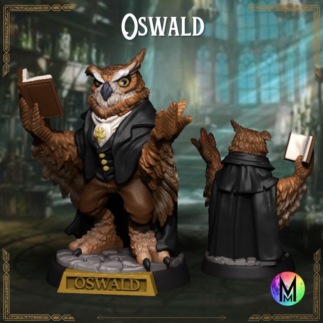 Aarakocra Wizard - Oswald the Lecturer 3d model