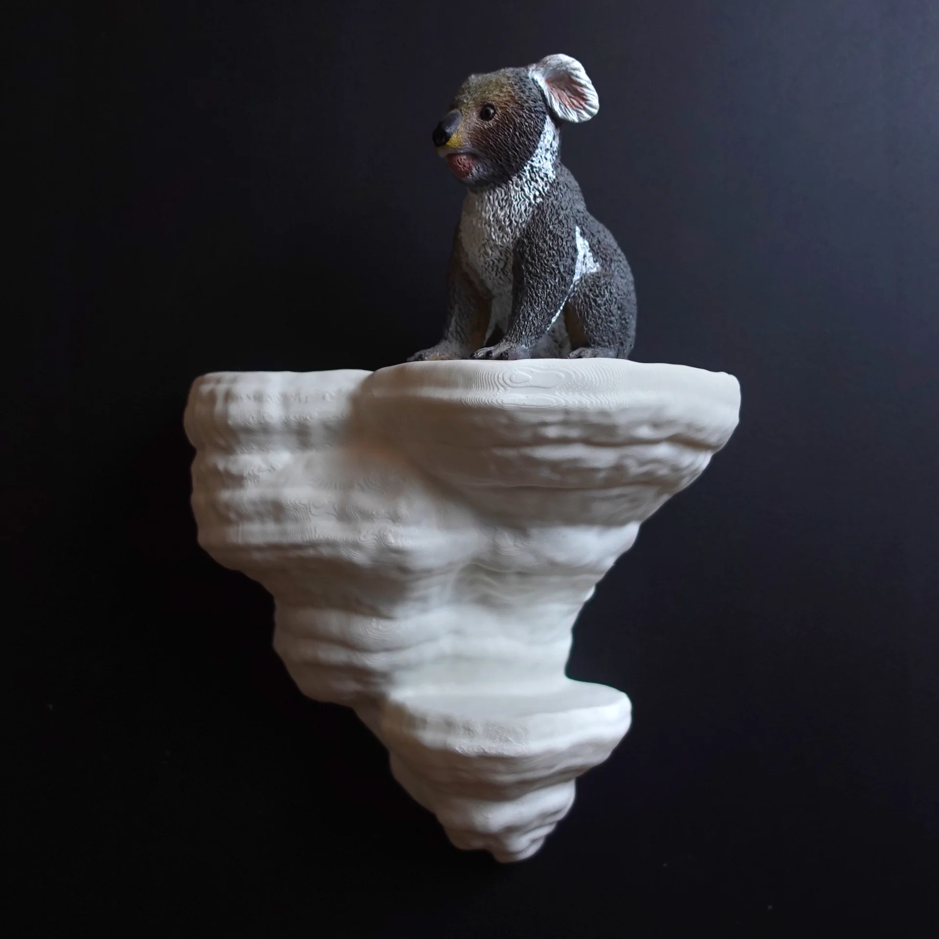 Mushroom shelf “Fomes Fomentarius” 3d model