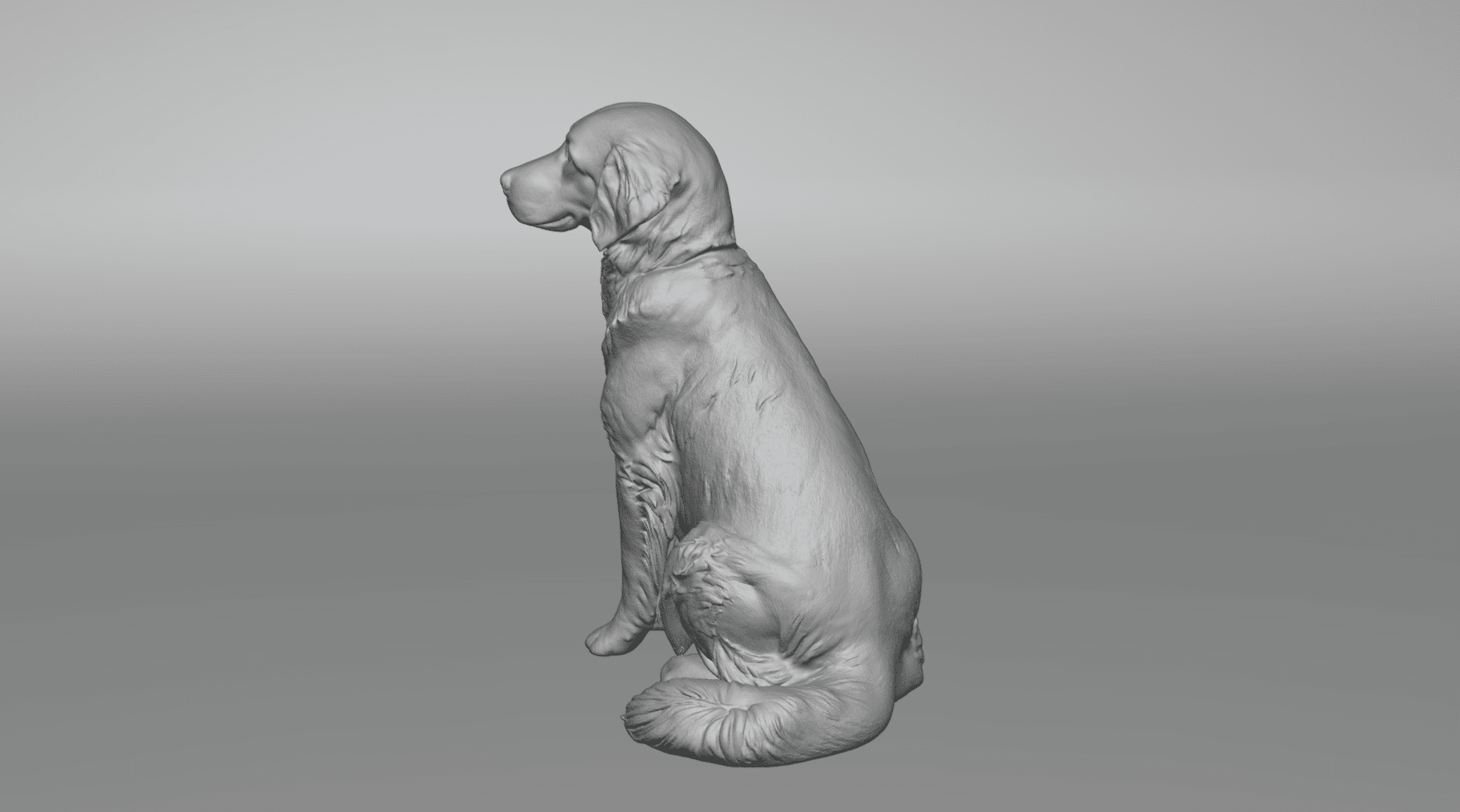 Golden Retriever dog 3d model