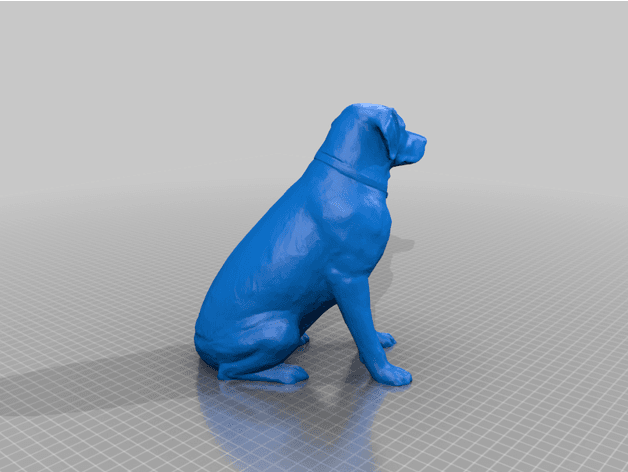Labrador dog 3d model