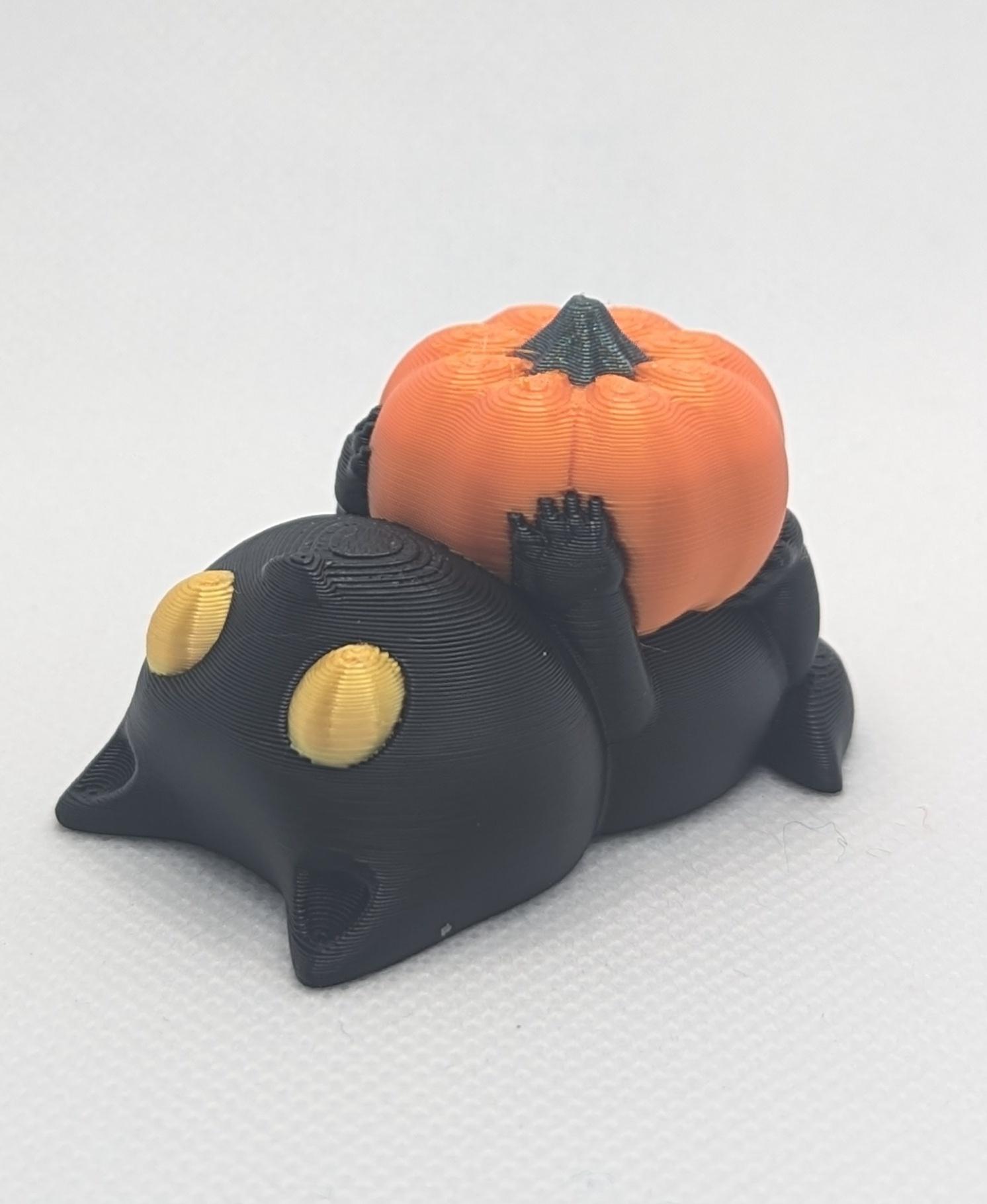 Cat Playing with Pumpkin 3d model