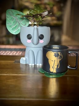 Elephant Ears Planter and Coasters 3d model