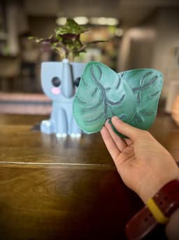 Elephant Ears Planter and Coasters 3d model