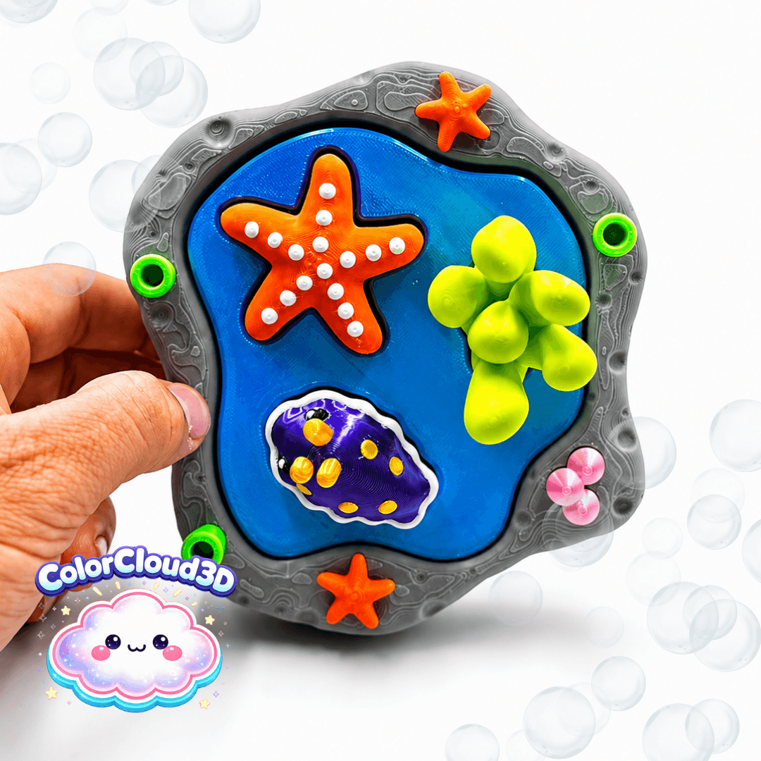 TIDE POOL TREASURES CLICKER SET 3d model