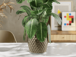 HexaFlow Planter + Base 3d model