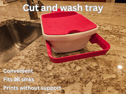 WASH AND CUT TRAY 3d model