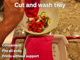 WASH AND CUT TRAY 3d model