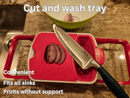 WASH AND CUT TRAY 3d model
